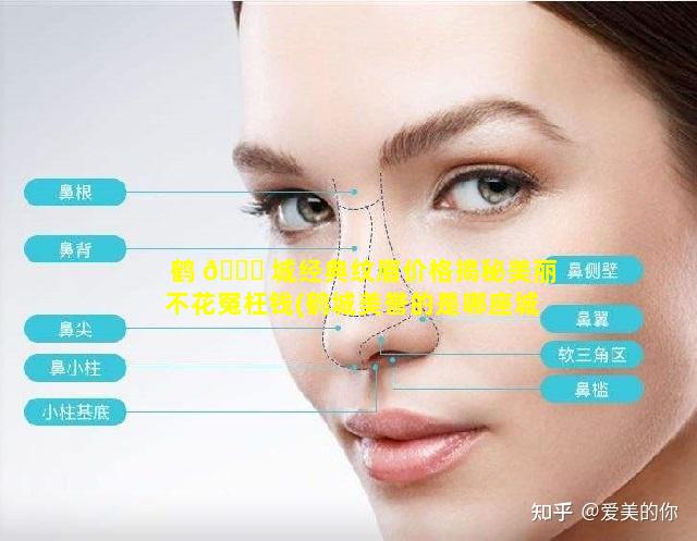 鹤 🐛 城经典纹眉价格揭秘美丽不花冤枉钱(鹤城美誉的是哪座城市)